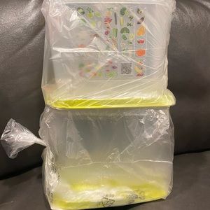 Fridgesmart Small Deep Containers (Set of 2) by Tupperware